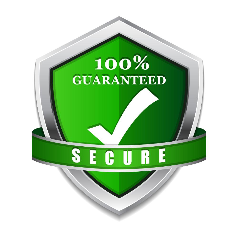 SSL Protection Secure Green Shield Vector Icon Design Truck Driving SSL Protection Secure Green Shield Vector Icon Design Truck Driving